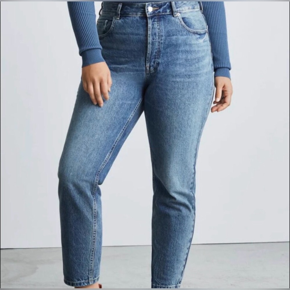 Everlane Curvy 90s Cheeky Straight Jean button fly size 27 crop
